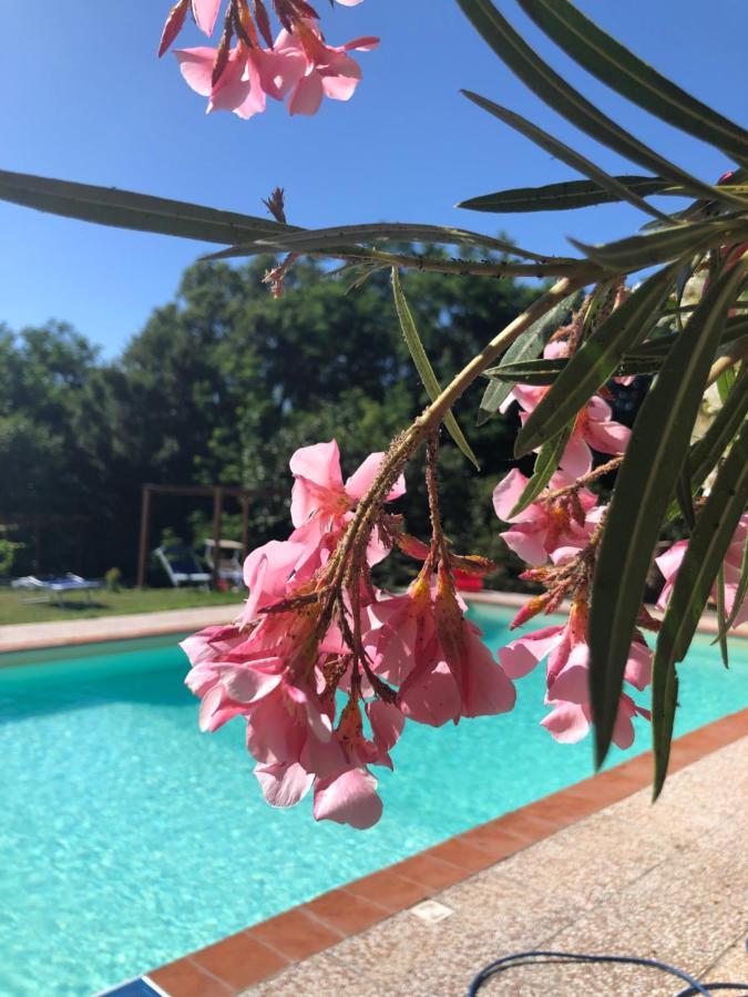 B&B Alloro Капанари Екстериор снимка