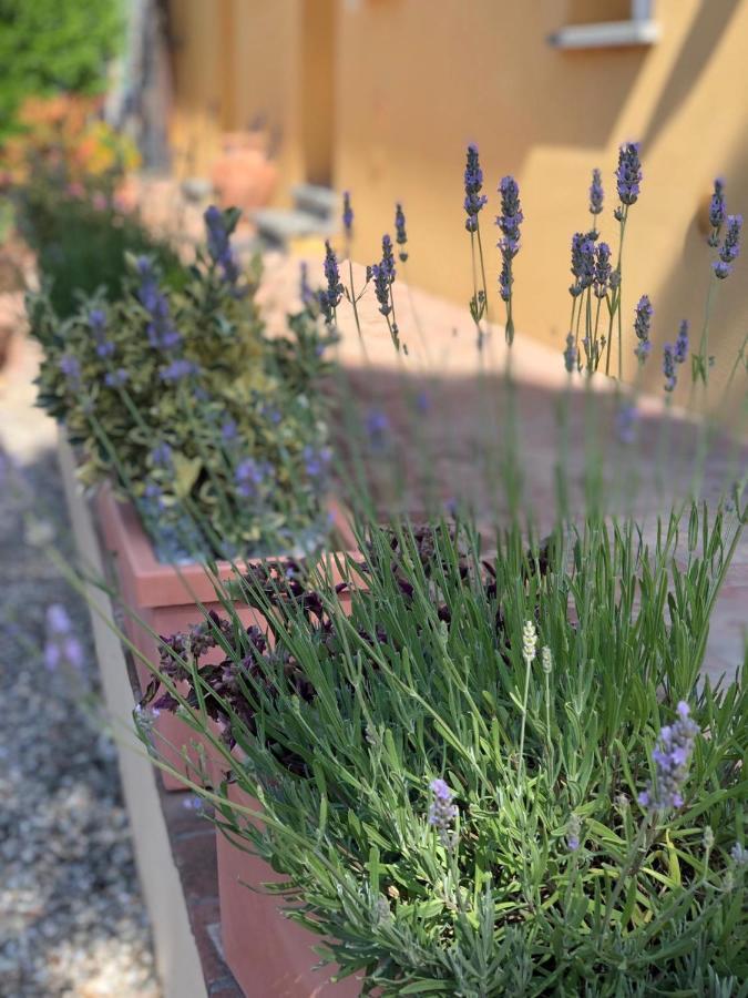 B&B Alloro Капанари Екстериор снимка