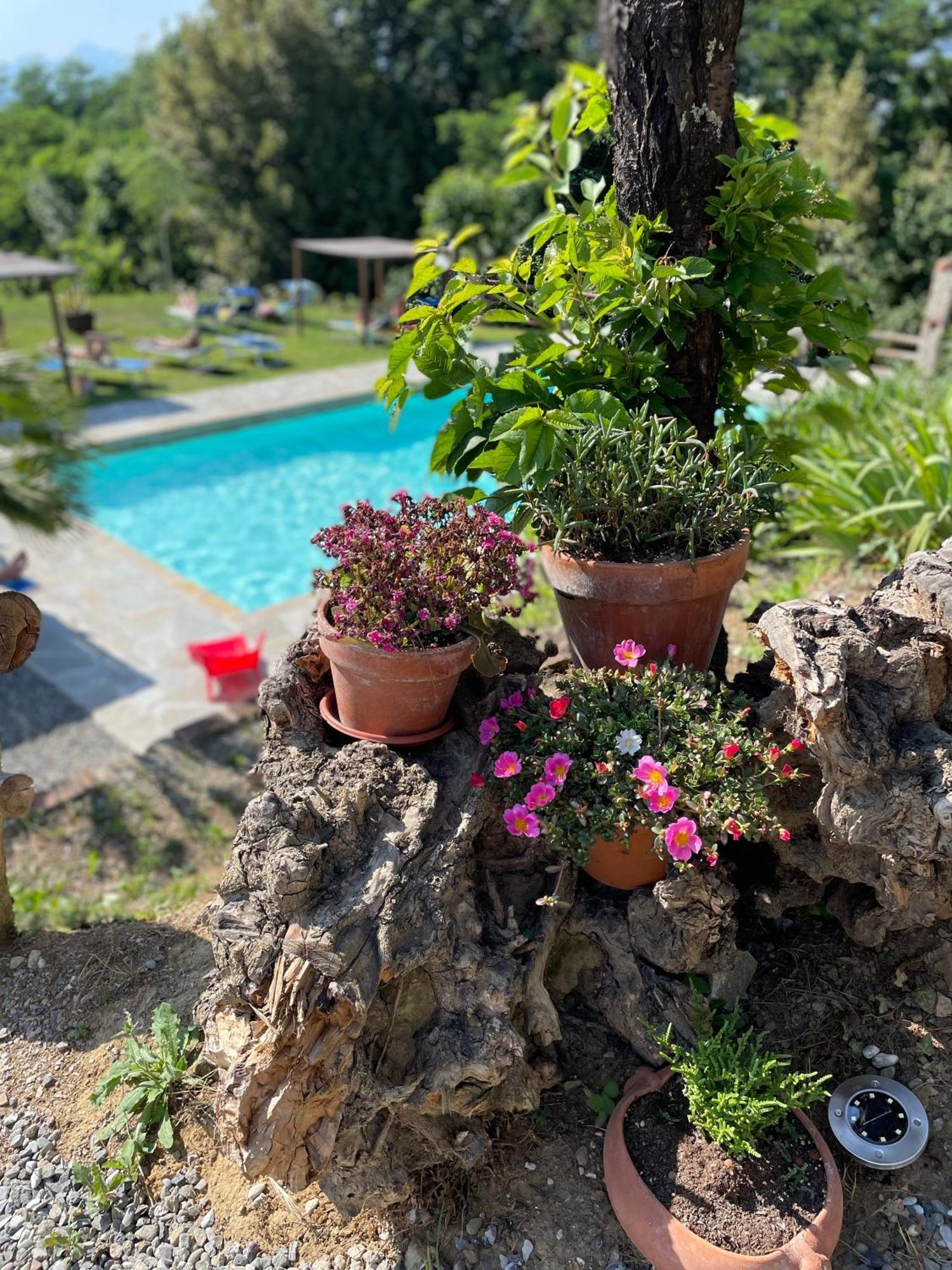 B&B Alloro Капанари Екстериор снимка